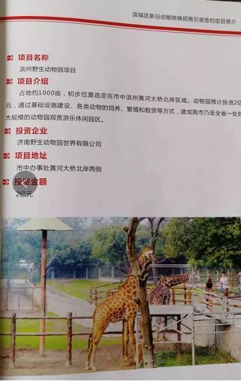 厲害了我的大濱州，15個招商引資項目集中簽約！
